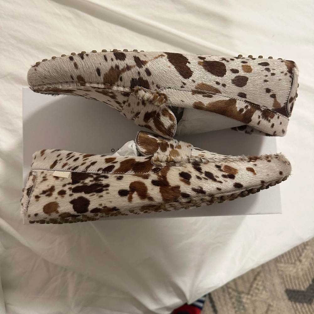 Oliver Cabell Dapple Diver Size 12 Brand New